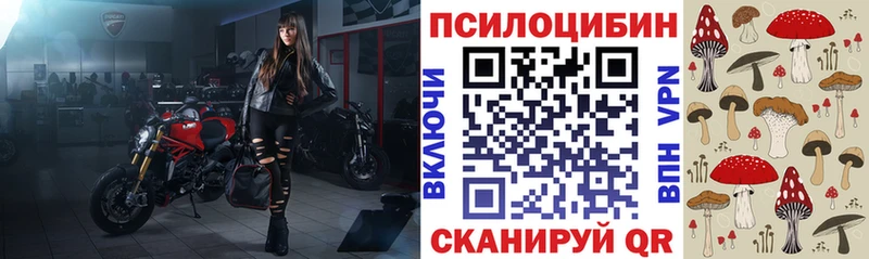 Псилоцибиновые грибы прущие грибы  hydra tor  Ленинградская 